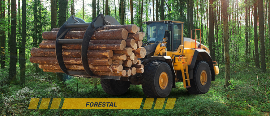 Industria Forestal